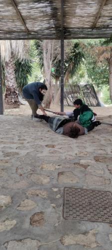 photo 16 2024-01-14 16-19-14