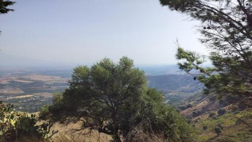 photo 7 2024-01-14 16-26-46